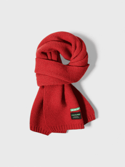 Autumn and winter scarf women's outdoor thickened warm scarf dopamine Korean style versatile men's scarf couple shawl