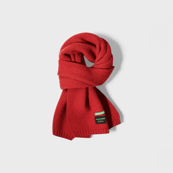 Autumn and winter scarf women's outdoor thickened warm scarf dopamine Korean style versatile men's scarf couple shawl